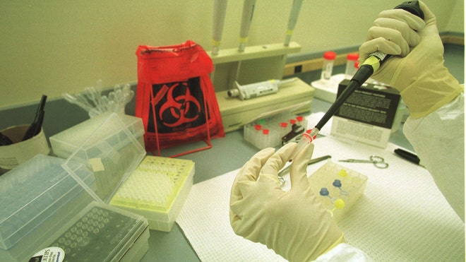 dna testing.jpg
